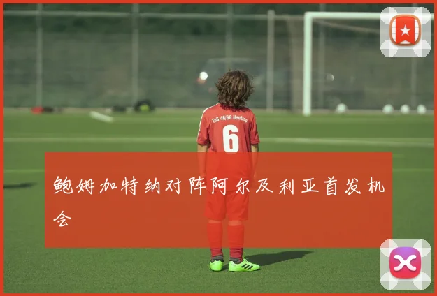 鲍姆加特纳对阵阿尔及利亚首发机会