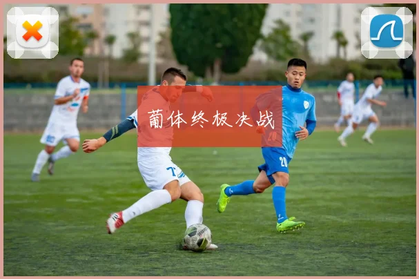 葡体终极决战
