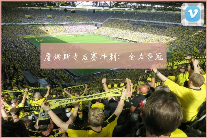 詹姆斯季后赛冲刺：全力争冠