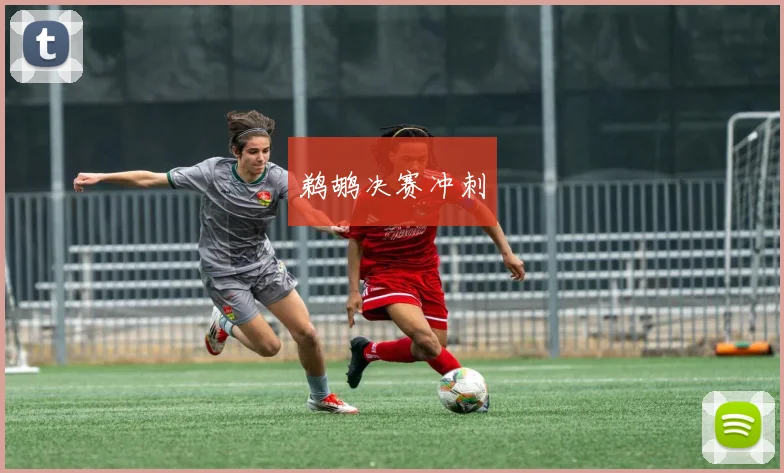 鹈鹕决赛冲刺