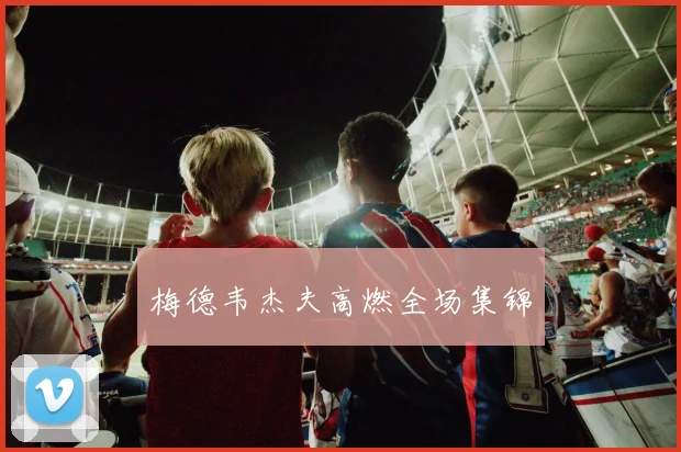 梅德韦杰夫高燃全场集锦