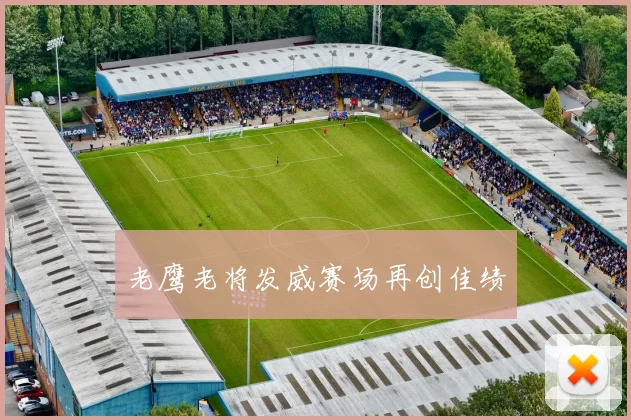 老鹰老将发威赛场再创佳绩