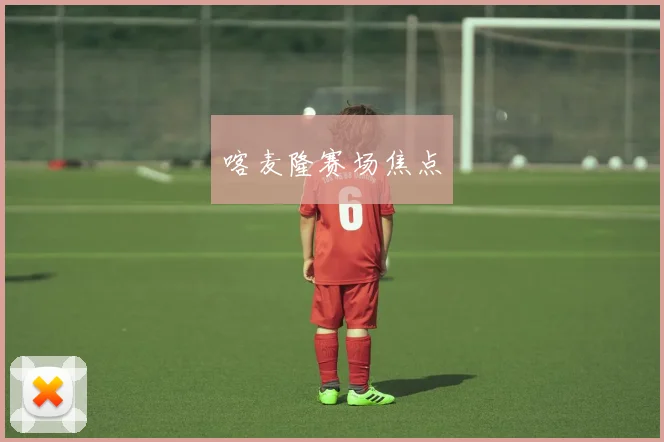 喀麦隆赛场焦点