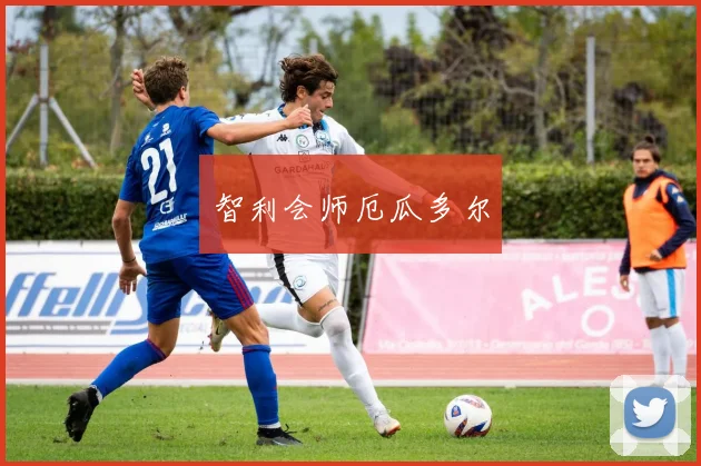 智利会师厄瓜多尔