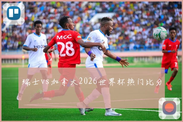 瑞士vs加拿大2026世界杯热门比分