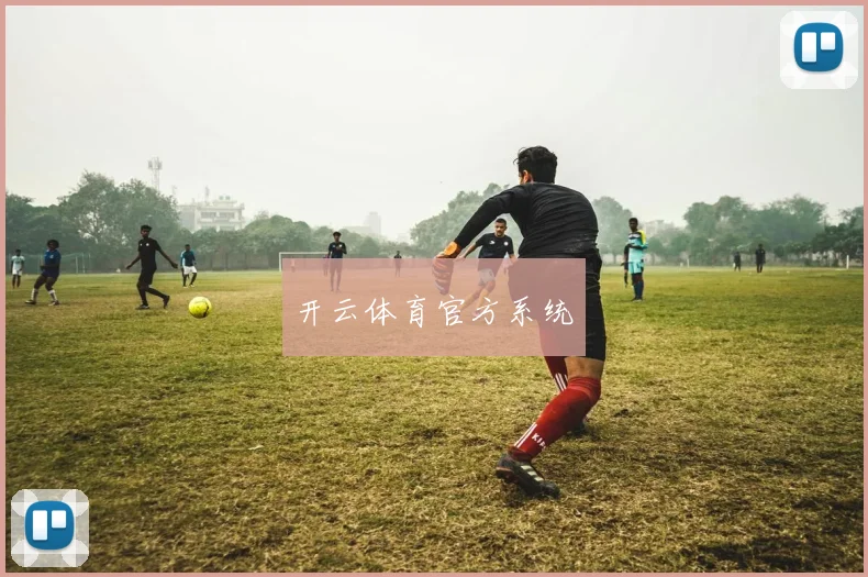 开云体育官方系统