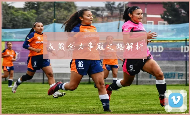 灰熊全力争冠之路解析