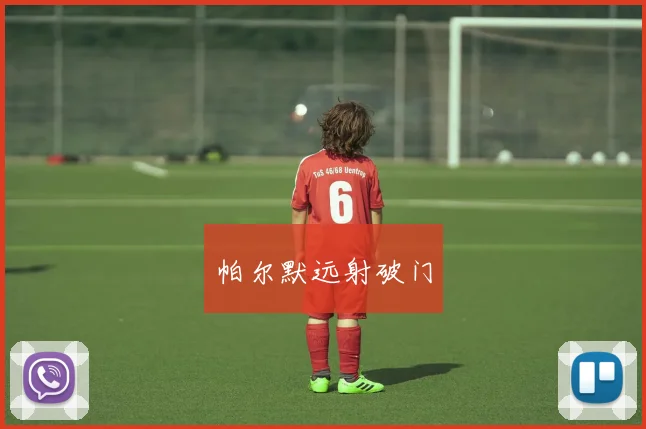 帕尔默远射破门