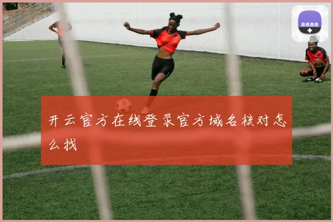 开云官方在线登录官方域名核对怎么找