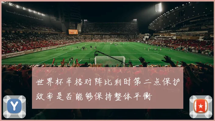 世界杯辛格对阵比利时第二点保护效率是否能够保持整体平衡