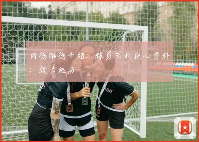 内德维德介绍：球员百科核心资料：效力经历
