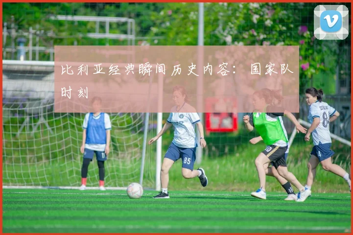 比利亚经典瞬间历史内容：国家队时刻